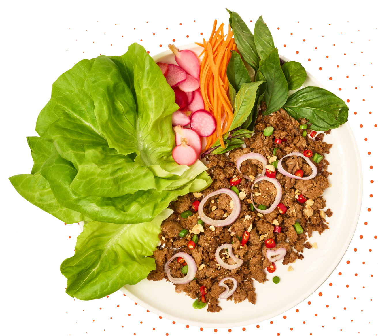 Turkey Larb