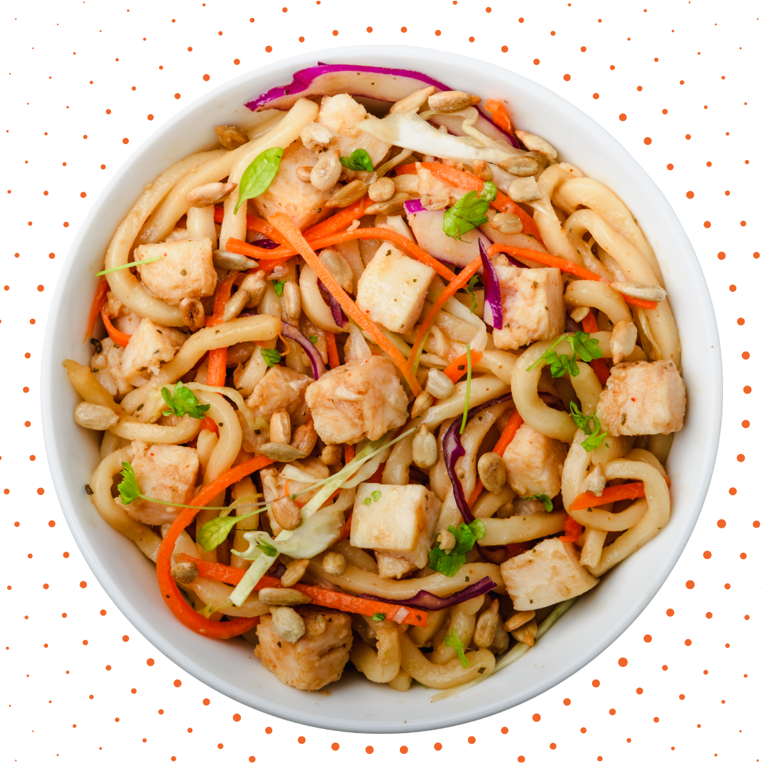 Cold Turkey Noodle Salad