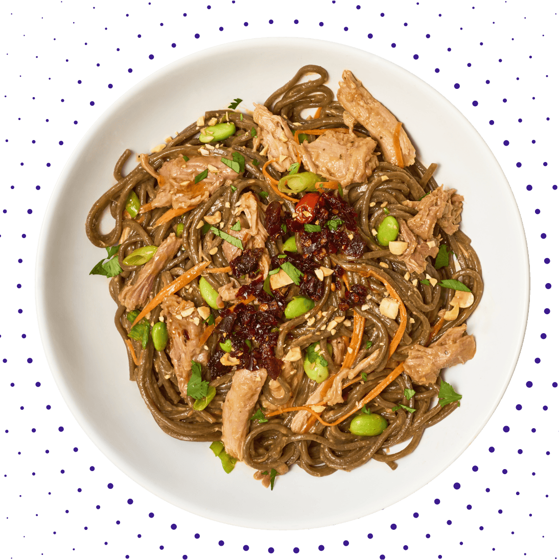 Turkey Soba Noodles